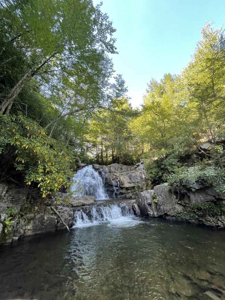 hawk falls